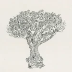 Ελαιόδεντρο (Κρήτη), 1978, μελάνι σε χαρτί, 40 x 29,3 εκ., ιδιωτική συλλογή