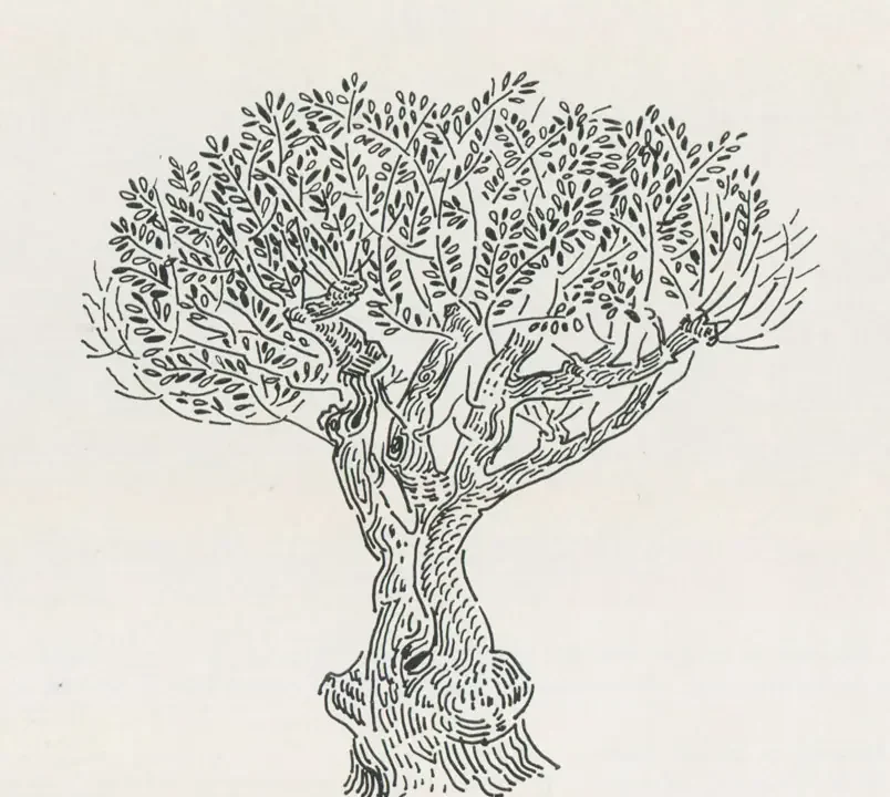 Ελαιόδεντρο (Κρήτη), 1978, μελάνι σε χαρτί, 40 x 29,3 εκ., ιδιωτική συλλογή