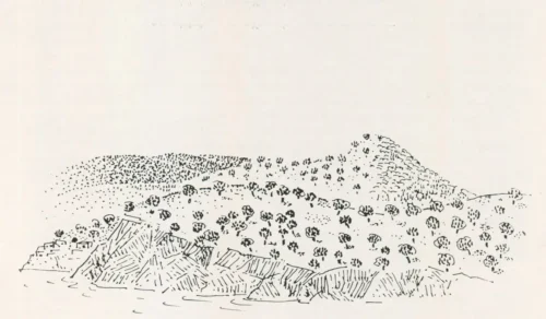 Κρήτη, 1978, μελάνι σε χαρτί, 29.3 x 40 εκ., ιδιωτική συλλογή