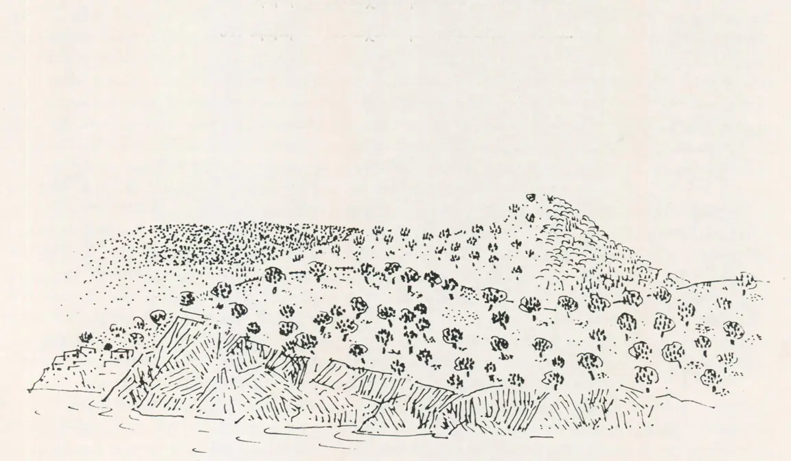 Κρήτη, 1978, μελάνι σε χαρτί, 29.3 x 40 εκ., ιδιωτική συλλογή